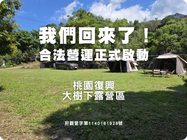 大樹下露營區
